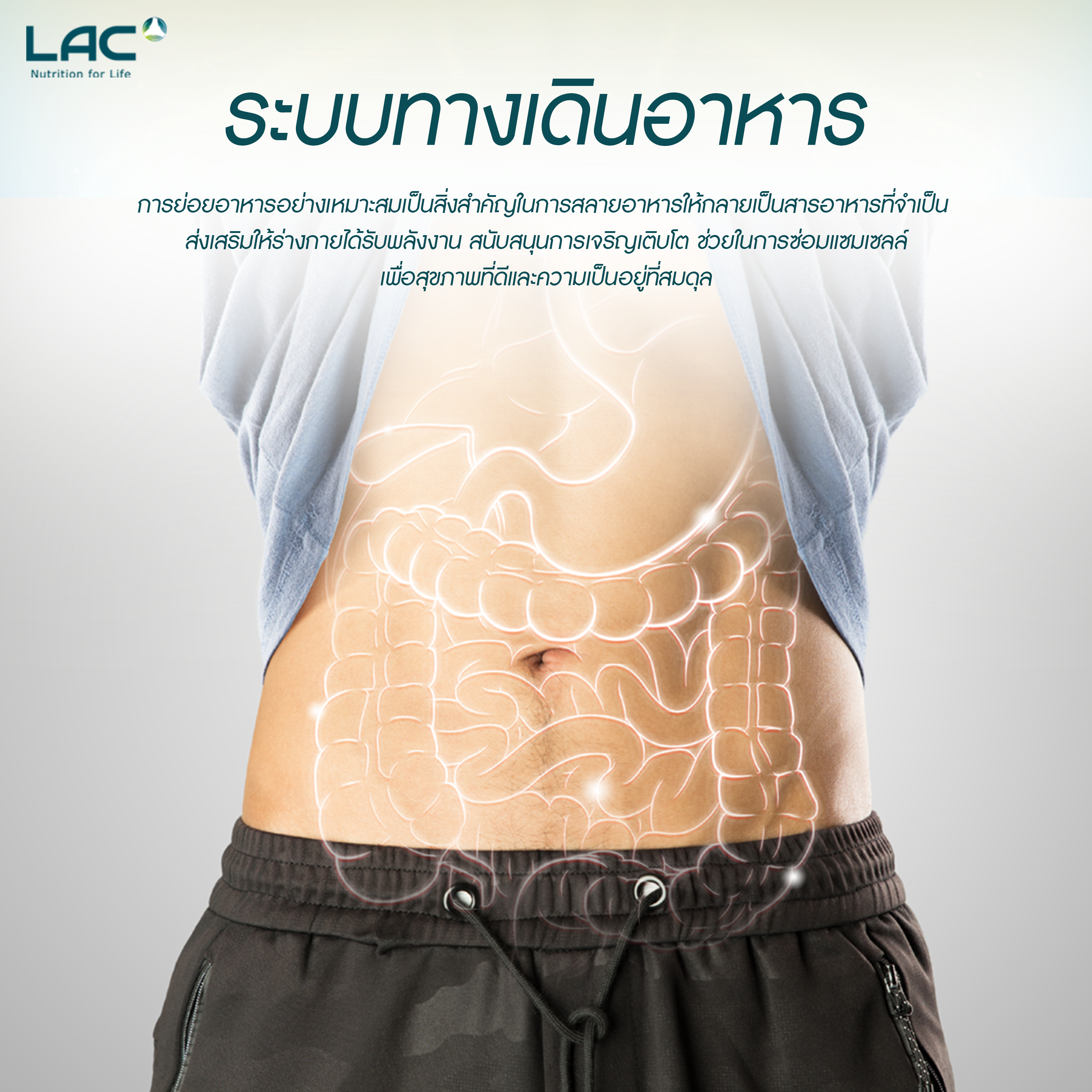 LAC Thailand
