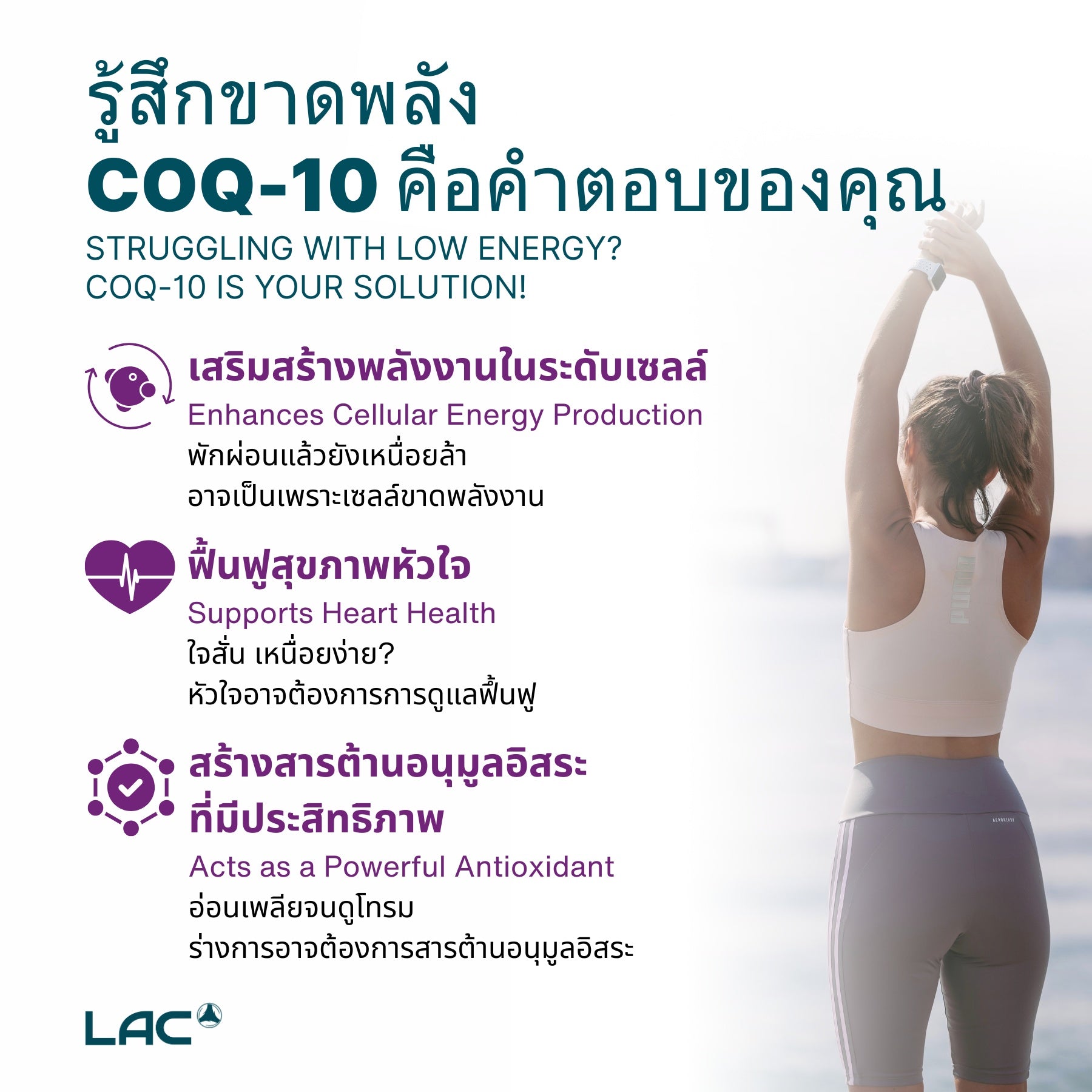 COQ-10 50 มก.
