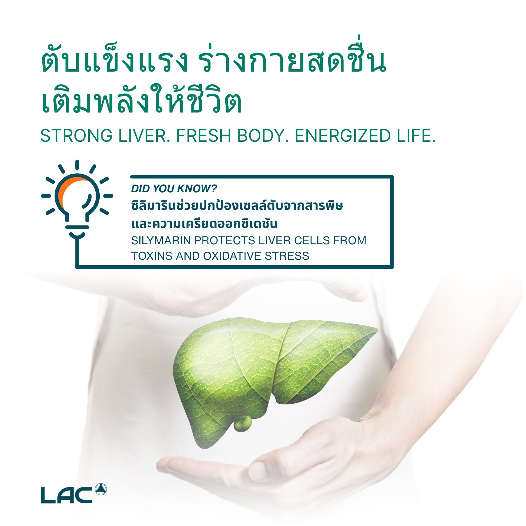 LAC Milk Thistle Extra Strength