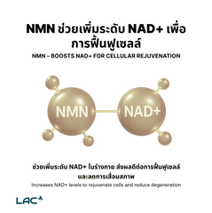 LAC NMN 450mg - Ultimate NAD+ Booster