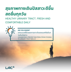 LAC Cranberry 500mg