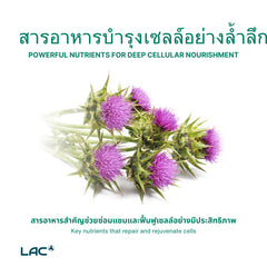 LAC Milk Thistle Extra Strength