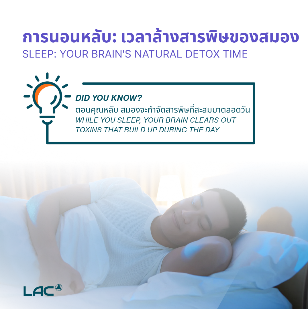 LAC TriAction Sleep Formula - Tri-layer Sleep Technology