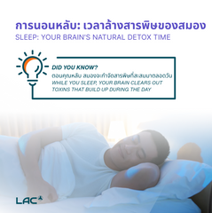 LAC TriAction Sleep Formula - Tri-layer Sleep Technology