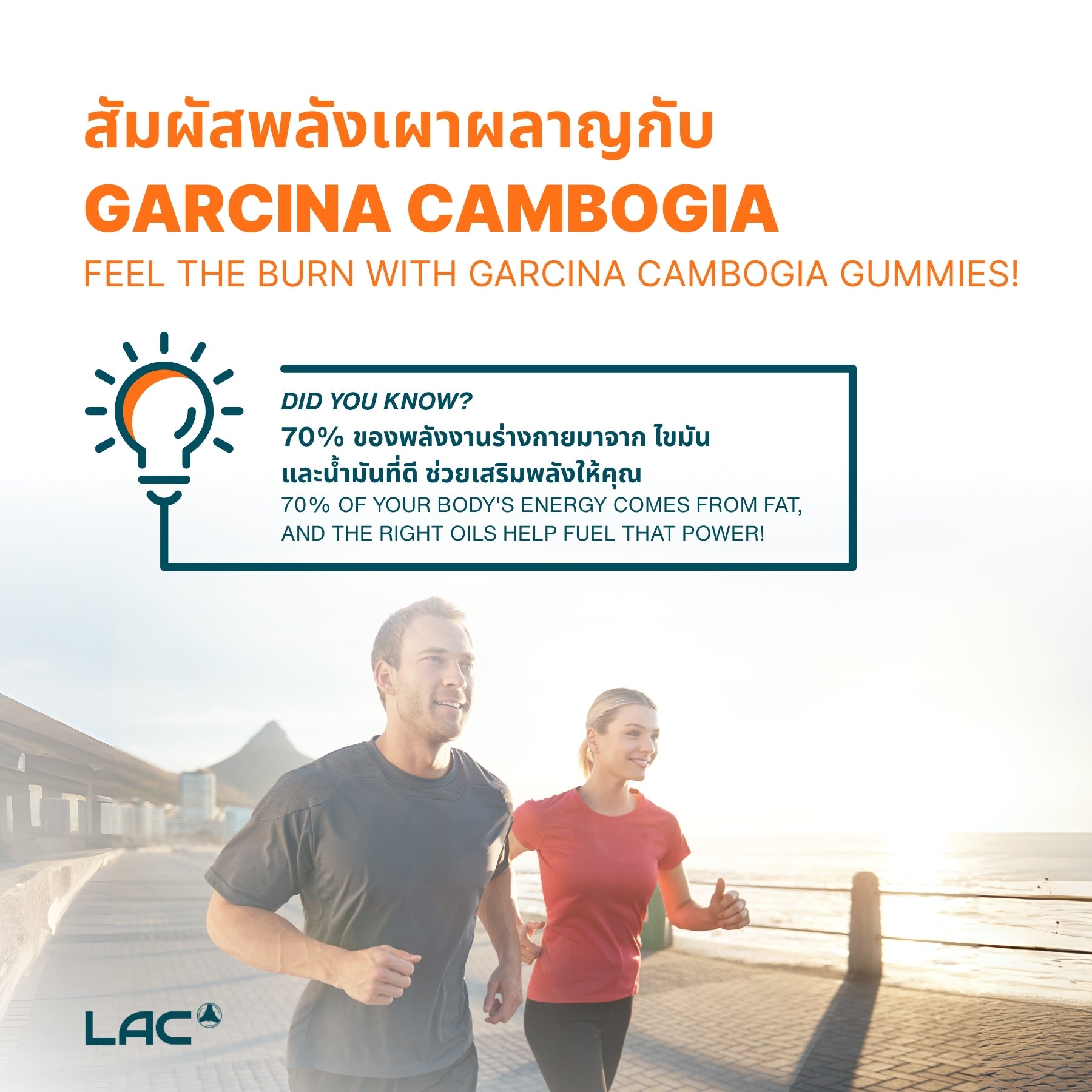 LAC Garcinia Cambogia