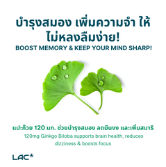 LAC Herbs Ginkgo Biloba 120mg