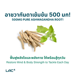 LAC Herbs Ashwagandha Root 500mg